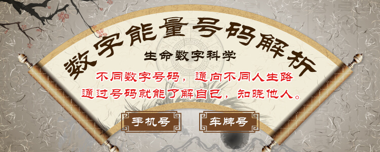 号码解析 