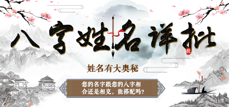 姓名分析 