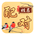 姓名配对 